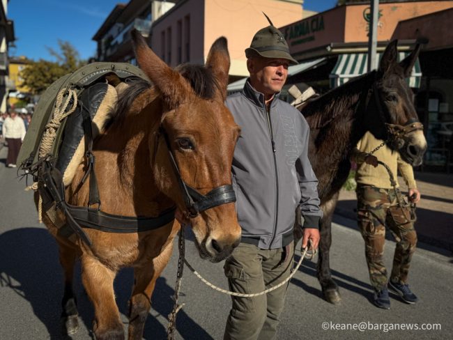 new images from barga -3498