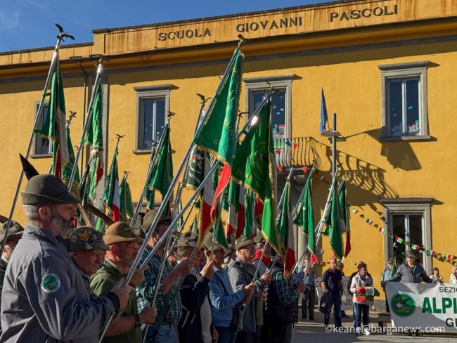 new images from barga -3503