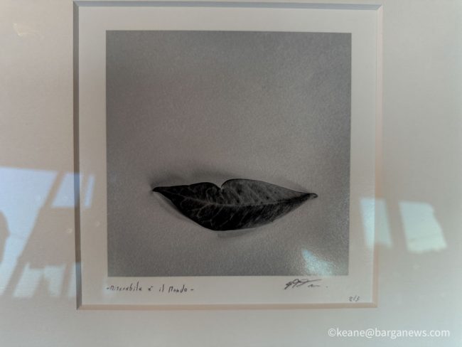 new images from barga -3575