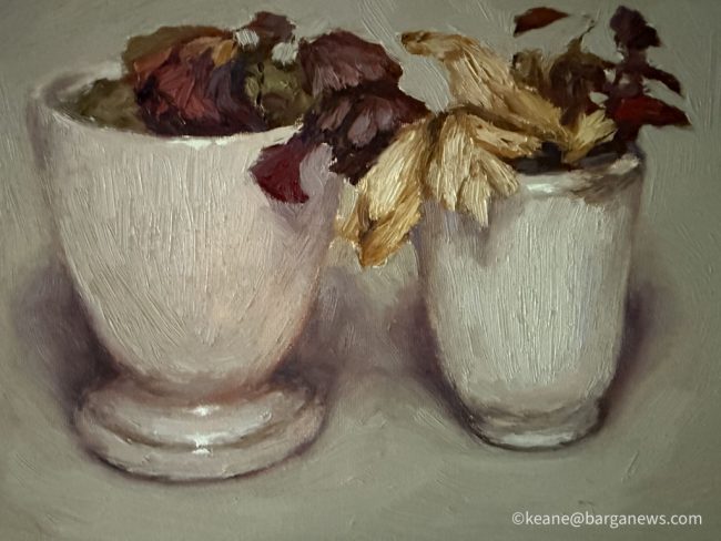 new images from barga -3585