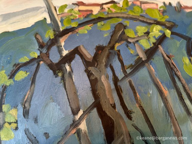 new images from barga -3586