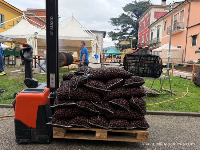 new images from barga -3644