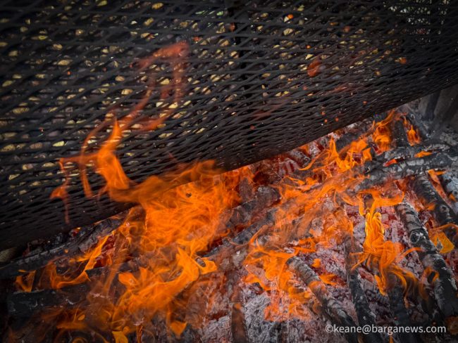 new images from barga -3646