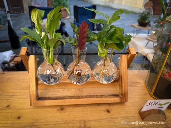 images from barga italy -135