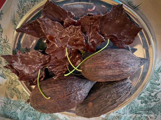 new images from barga -3803