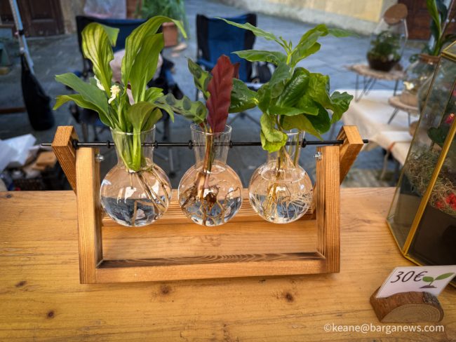 new images from barga -3821