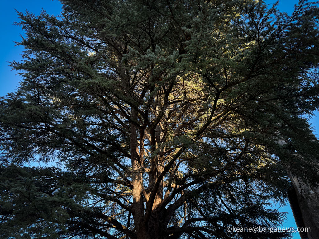 Barga Daily Image 14th January 2026