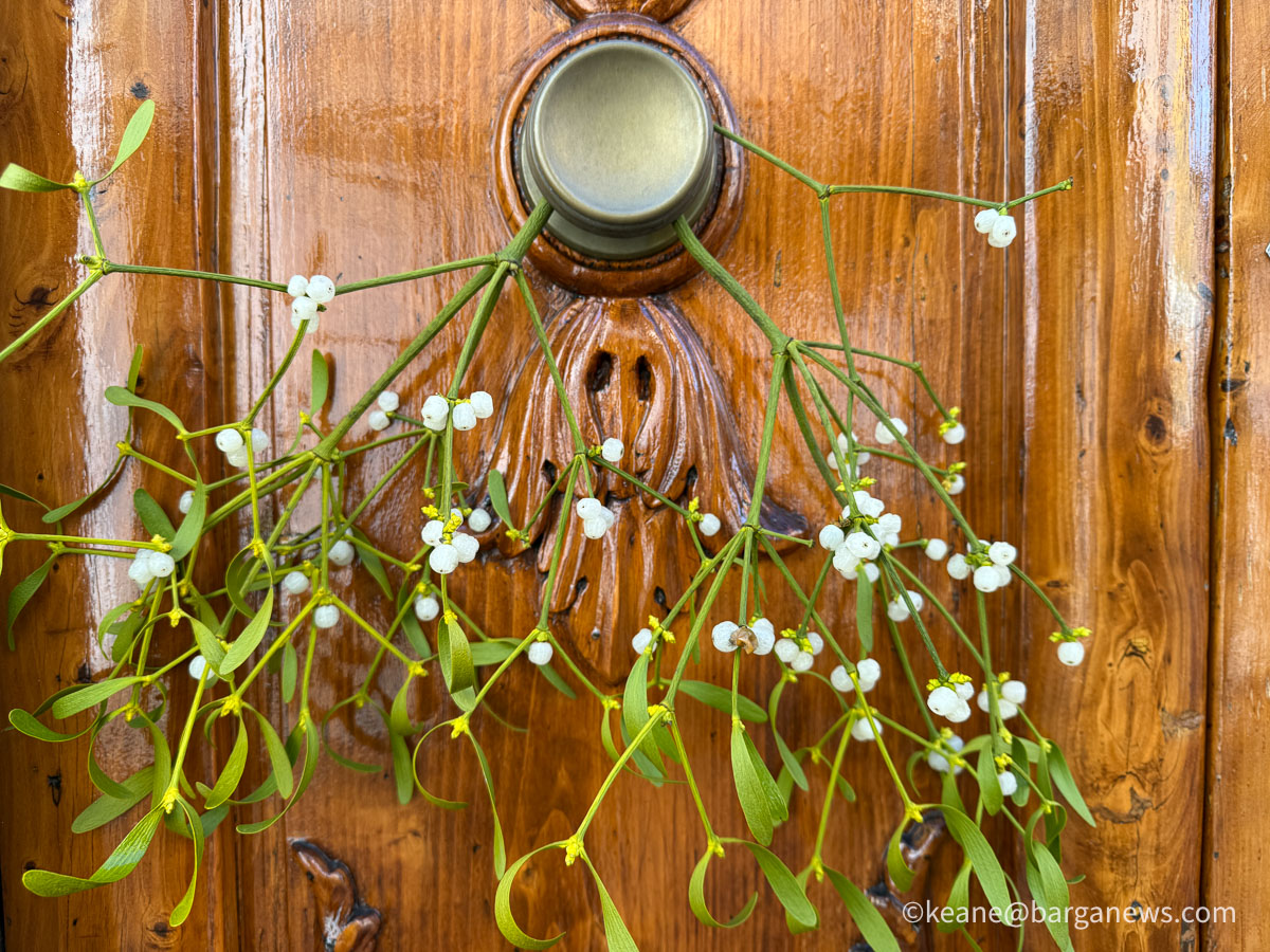 Barga Daily Image 15th February 2026