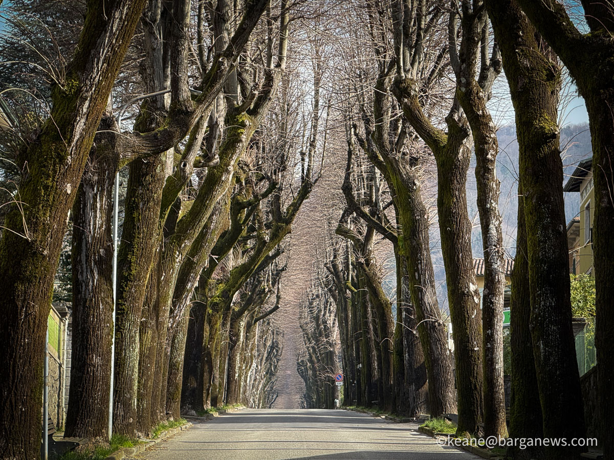 Barga Daily Image 24th February 2026