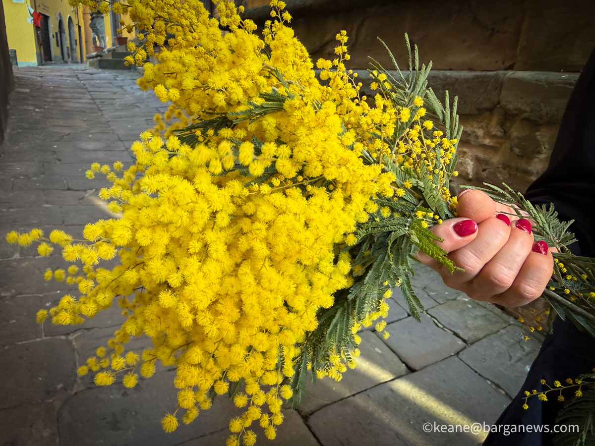 Barga Daily Image 26th February 2026