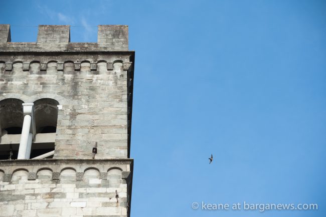 images-from-barga-7226