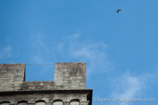 images-from-barga-7238