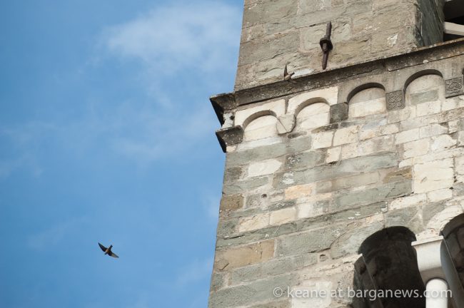 images-from-barga-7244