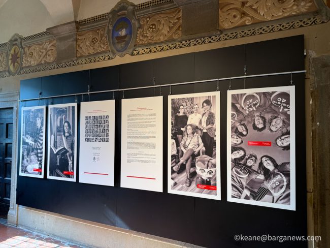 new images from barga -5347