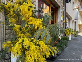 Barga Daily Image 8th March 2026