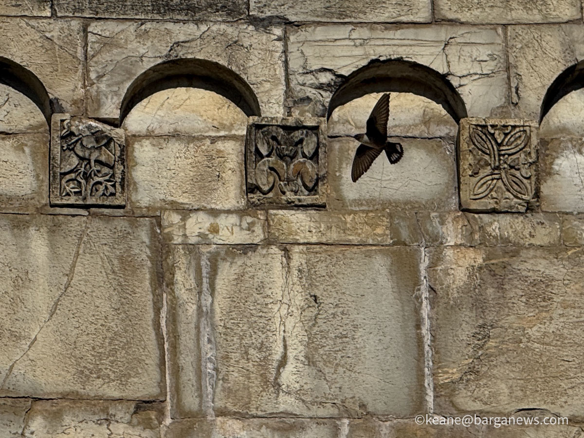 Barga Daily Image 17th March 2026