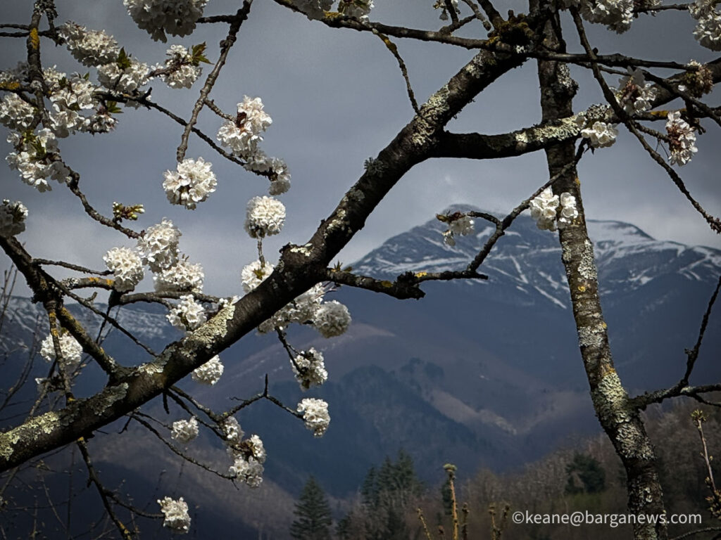 Barga Daily Image 3rd April 2026