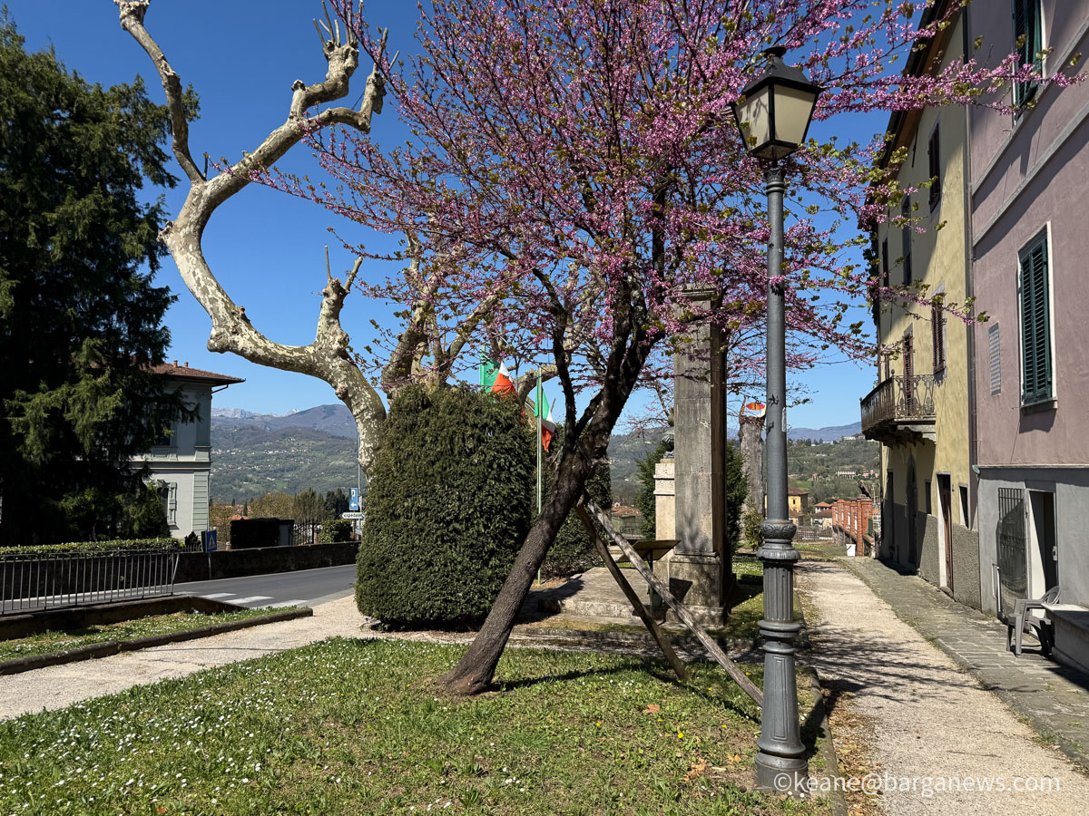 Barga Daily Image 13th April 2026