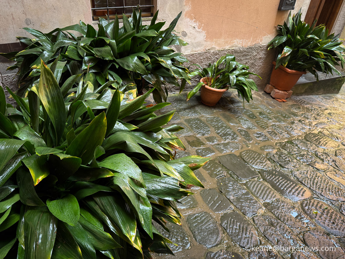 Barga Daily Image 9th May 2026