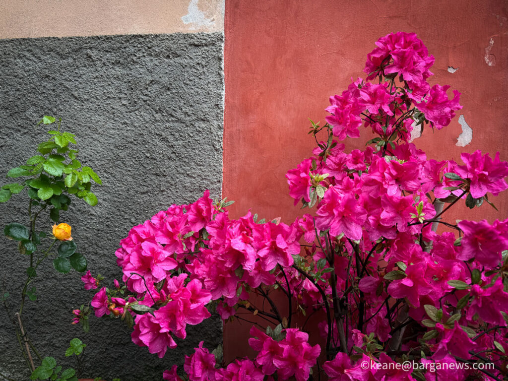 Barga Daily Image 13th May 2026