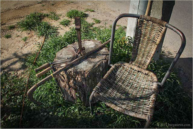 new images from barga -6313