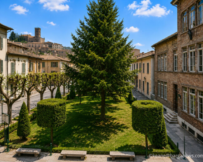 new images from barga -6352