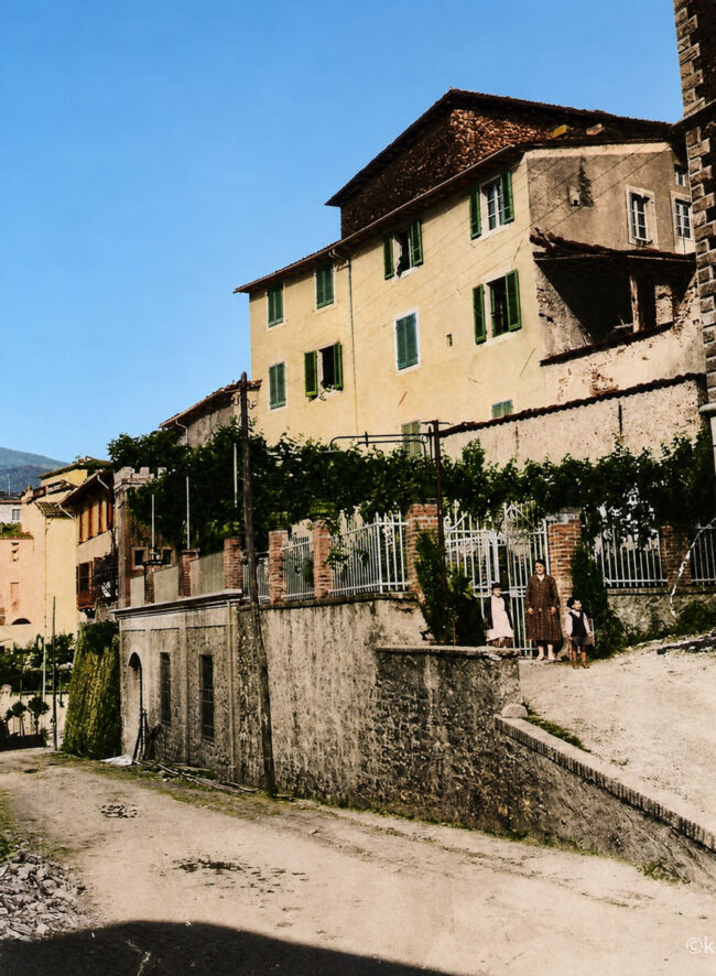 new images from barga -6374