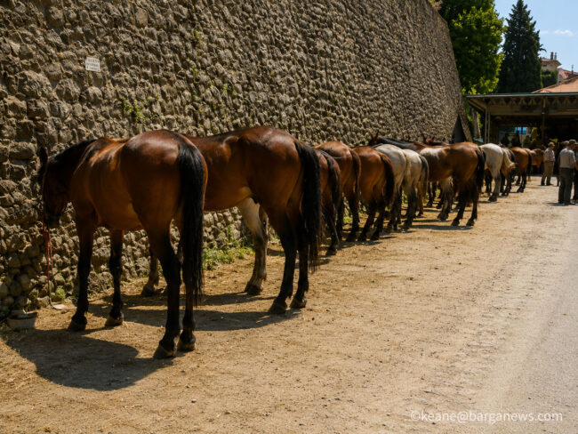 new images from barga -6393
