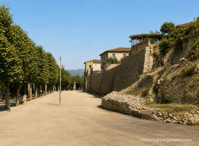 new images from barga -6401
