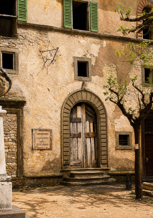 new images from barga -6406