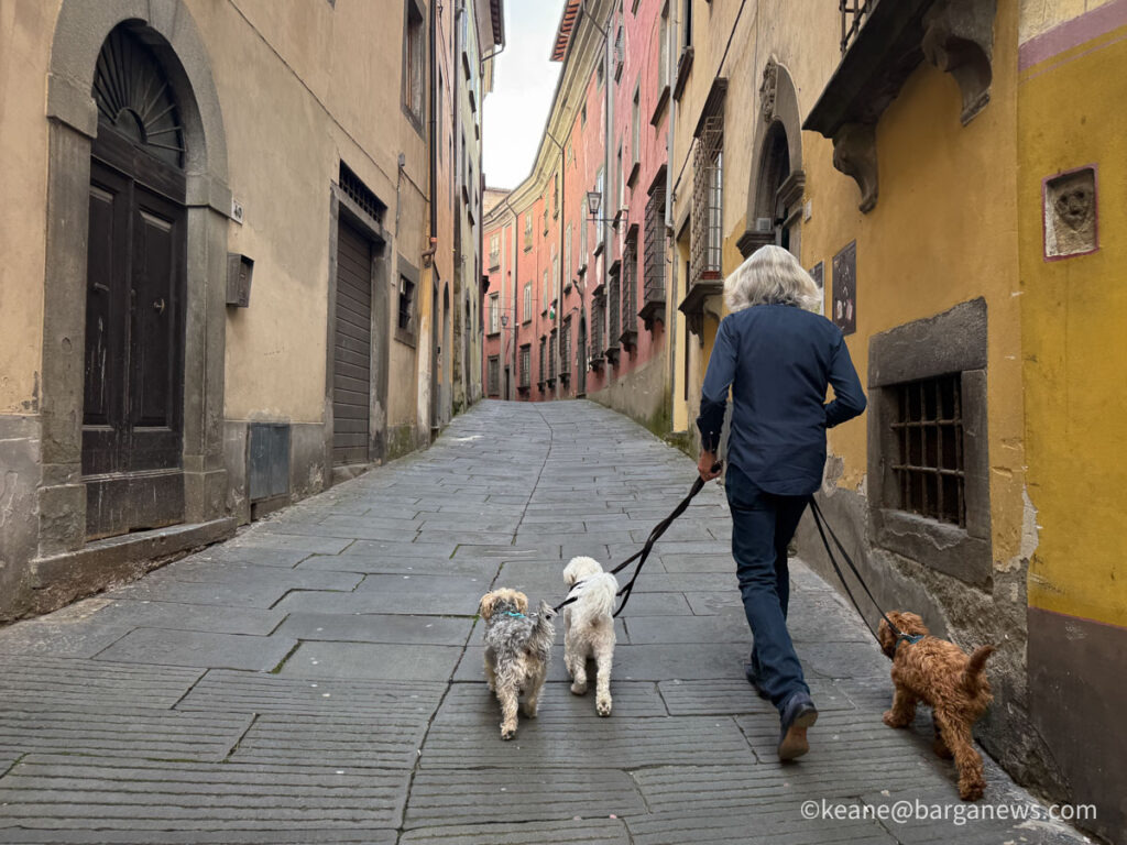 Barga Daily Image 5th June 2026