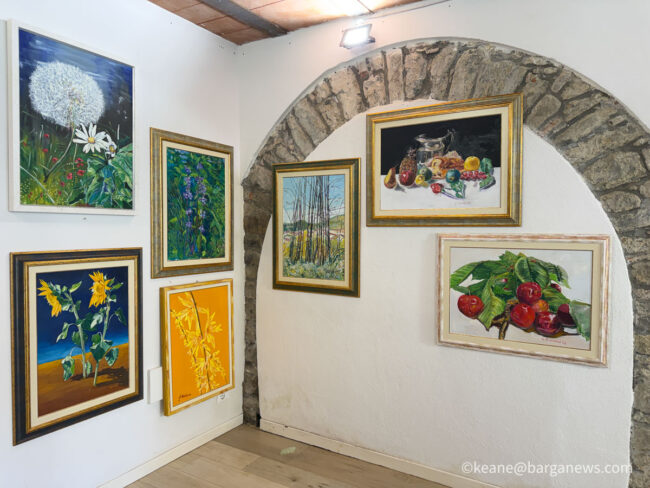 new images from barga -6535