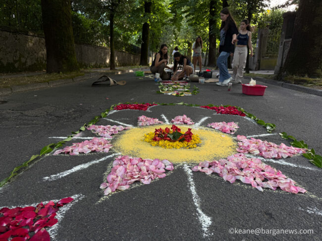 new images from barga -6592