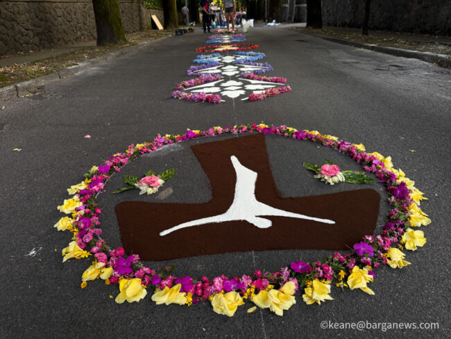 new images from barga -6626