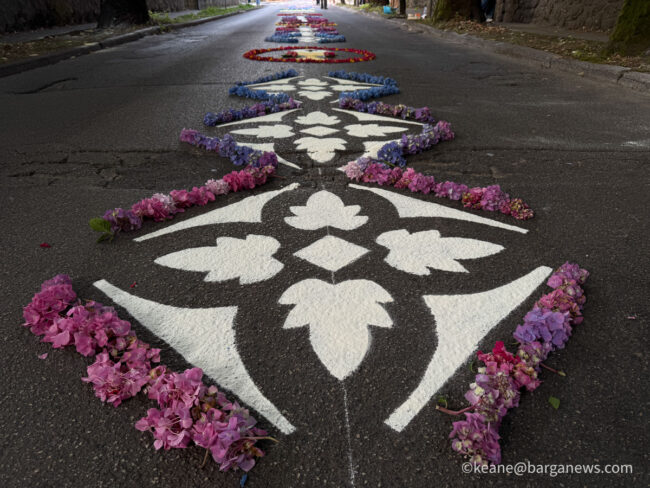 new images from barga -6628