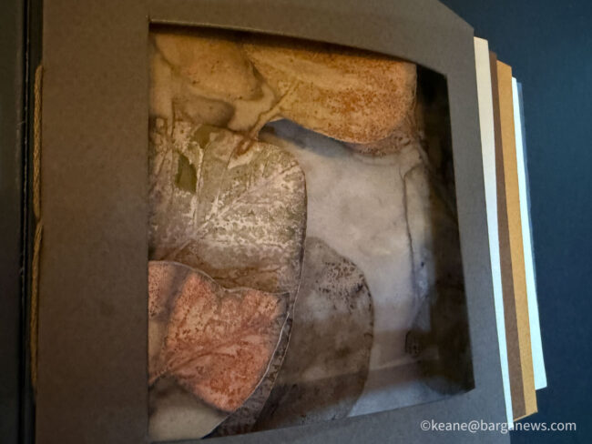 new images from barga -6730