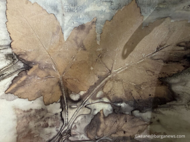 new images from barga -6735
