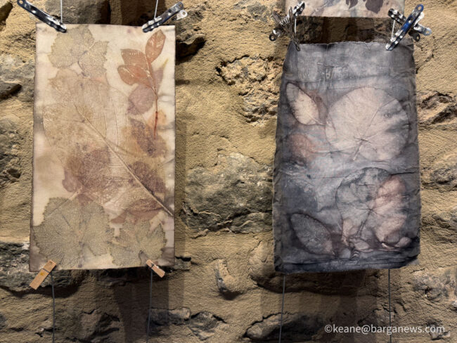 new images from barga -6740