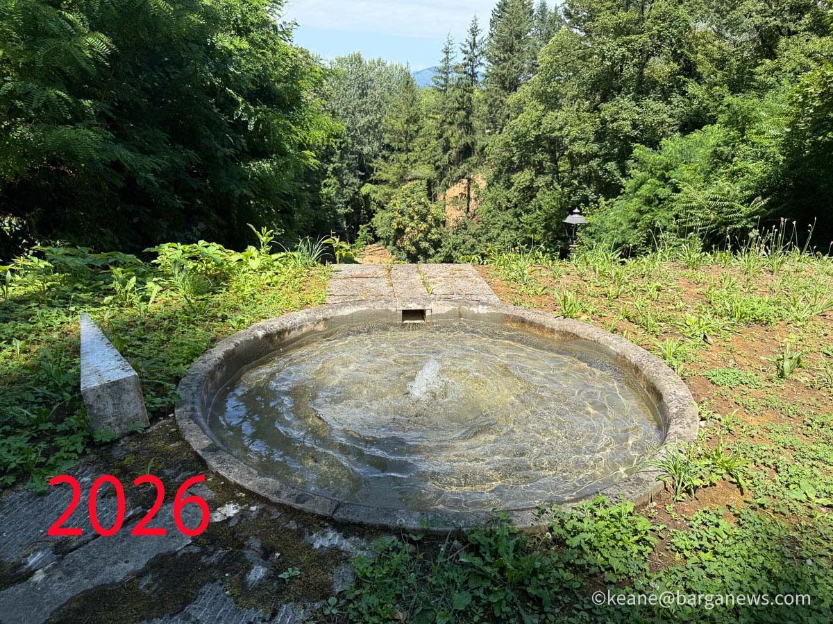 new images from barga -6909