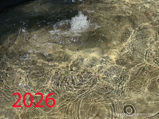 new images from barga -6910