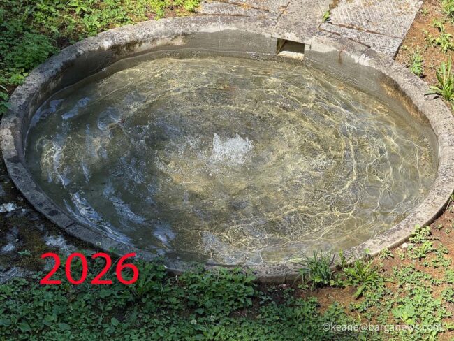 new images from barga -6911
