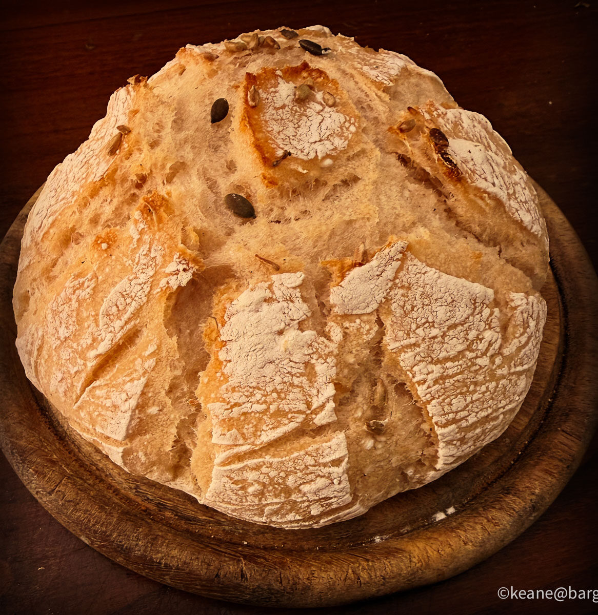new images from barga -6959