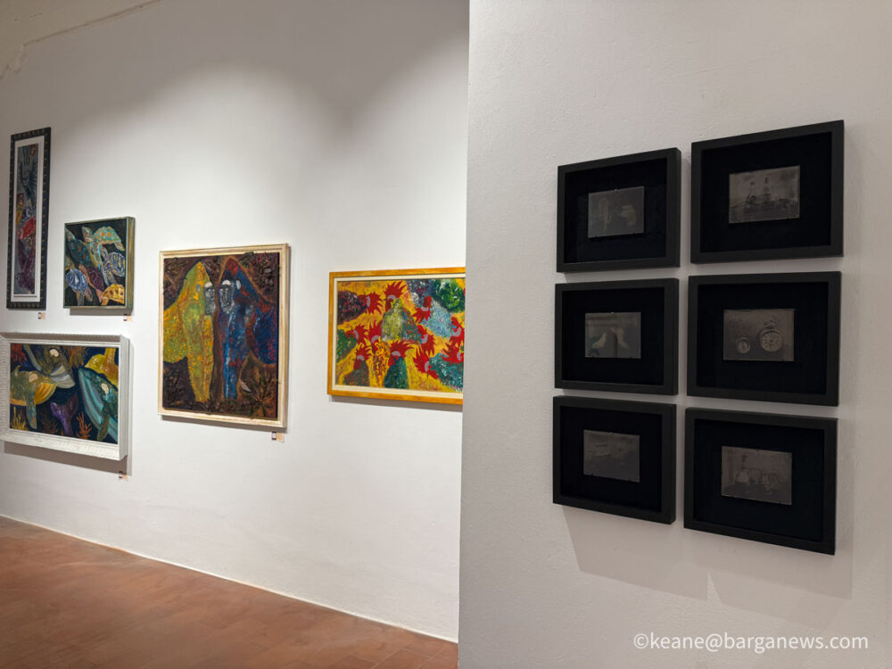 new images from barga -7088
