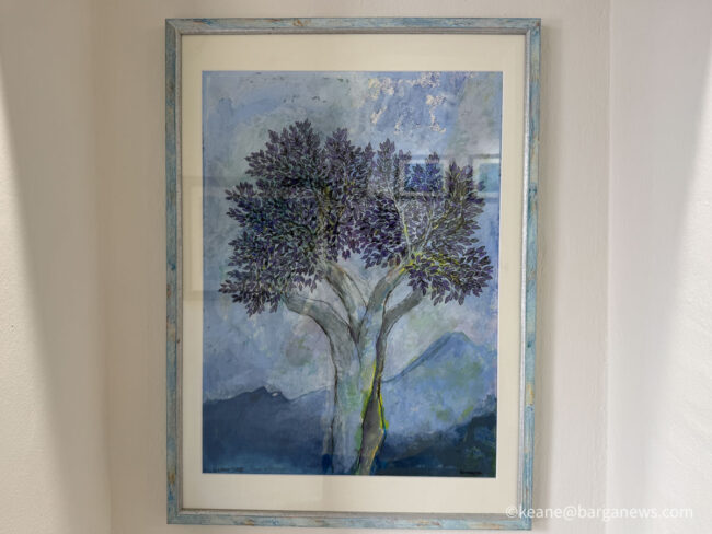 new images from barga -7619