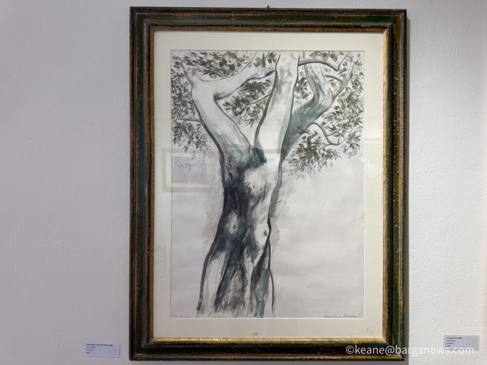 new images from barga -7623