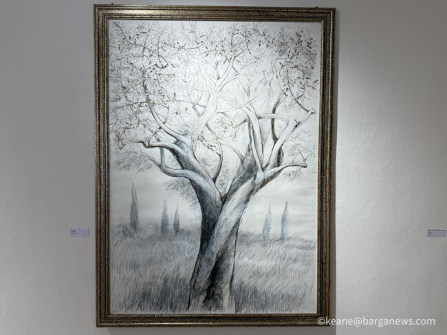 new images from barga -7625