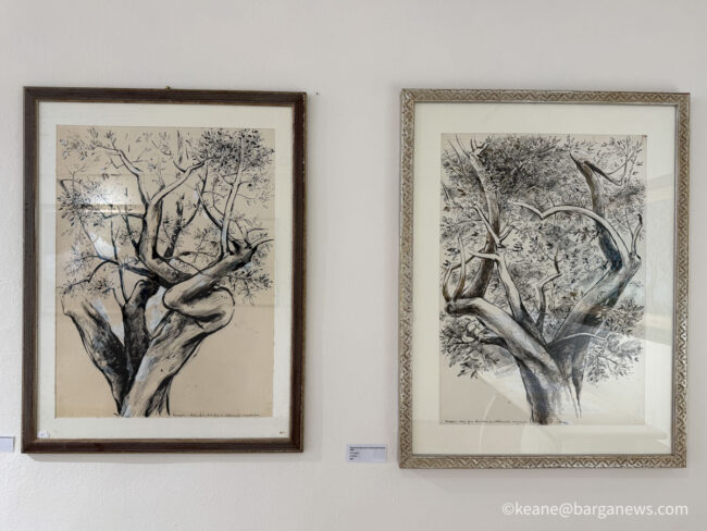 new images from barga -7626