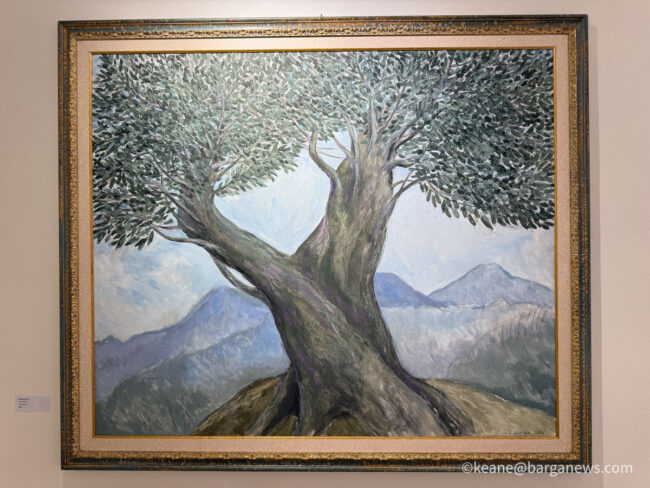 new images from barga -7629