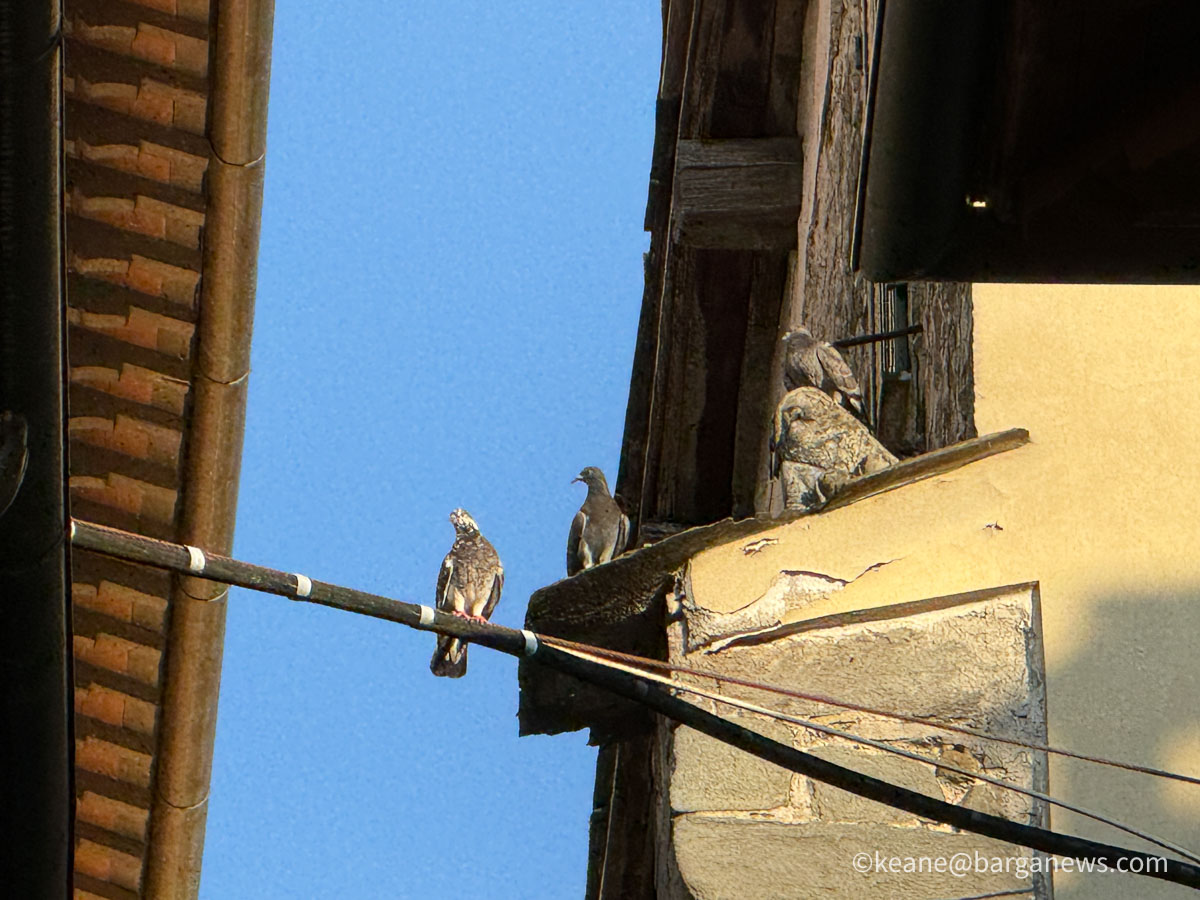 Barga Daily Image 5th August 2026