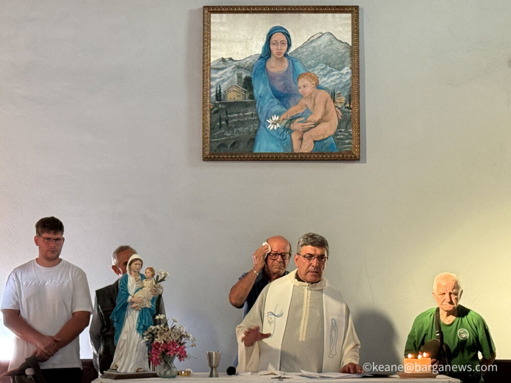 new images from barga -7676